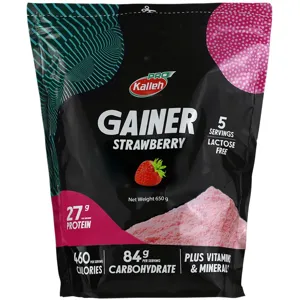 گینر 650 گرمی