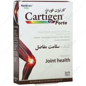 کارتیژن فورت